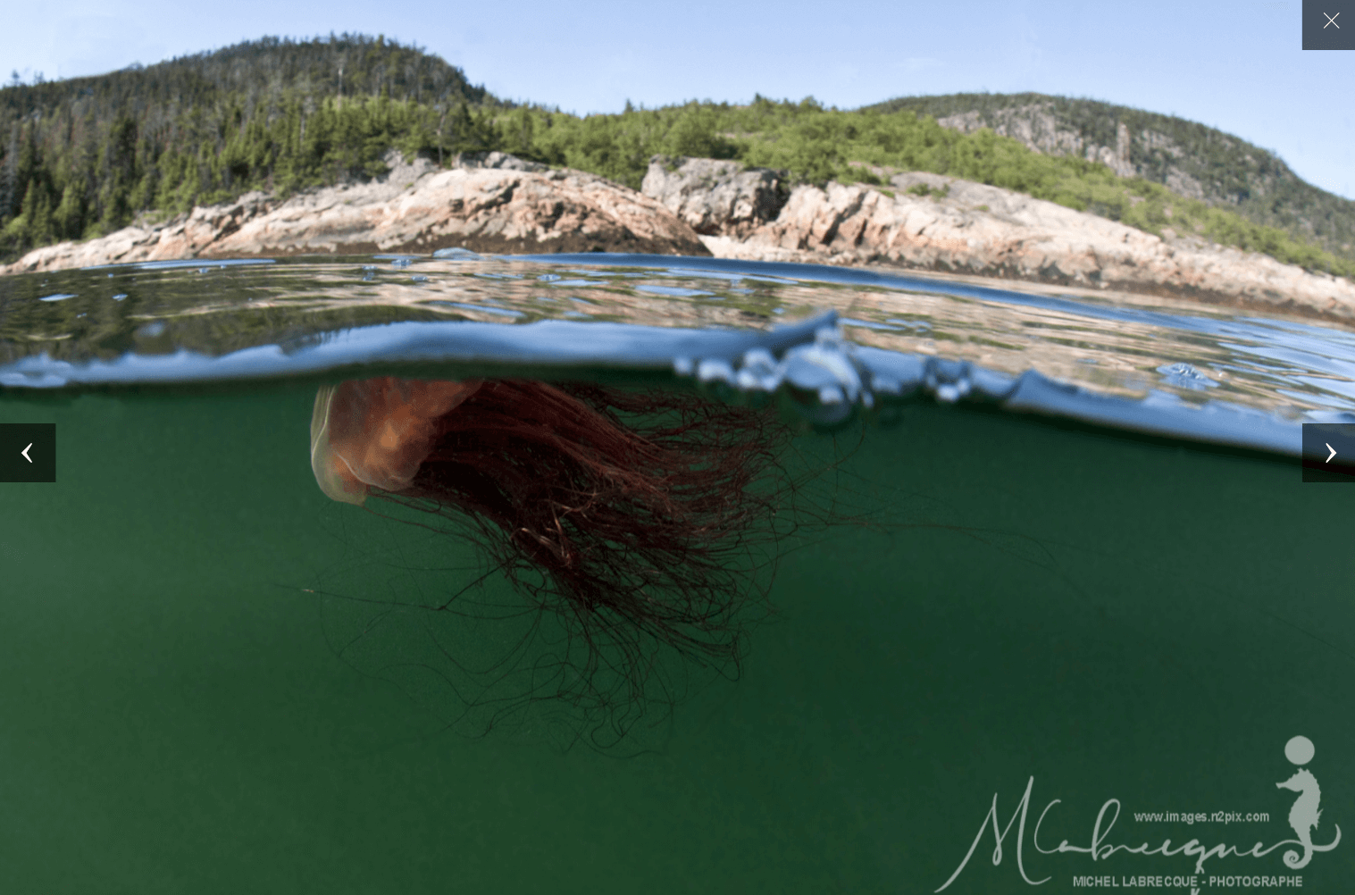 Image pasage bord d'eau